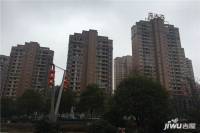 东南岸住宅小区实景图图片