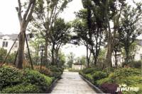 尚湖玫瑰园3期实景图图片