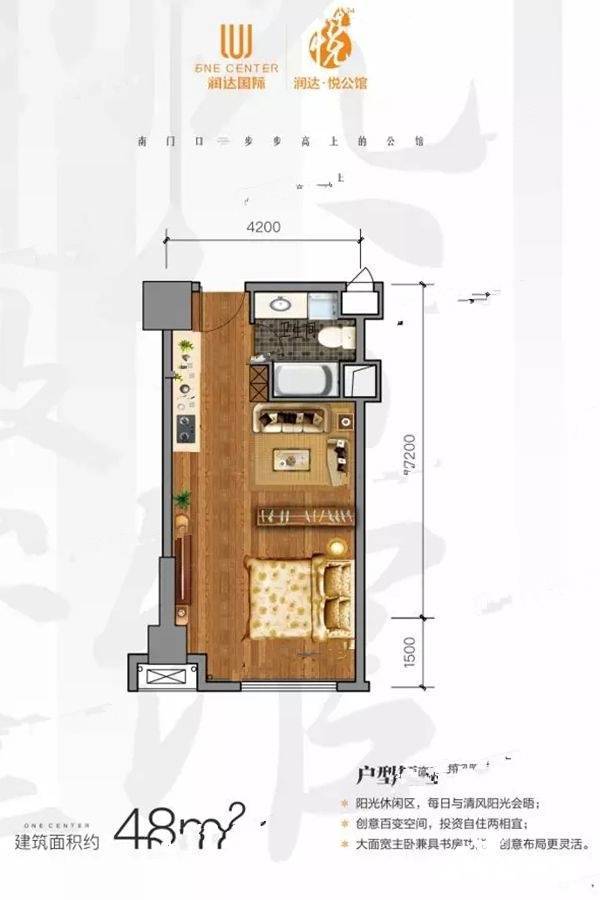 润达悦公馆1室1厅1卫48㎡户型图