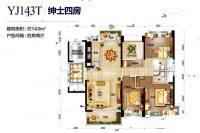 碧桂园新仕界4室2厅2卫143㎡户型图