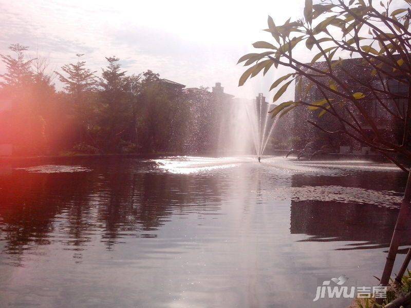 宝安·山水龙城实景图图片