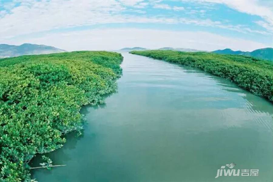 碧桂园九龙湾配套图图片