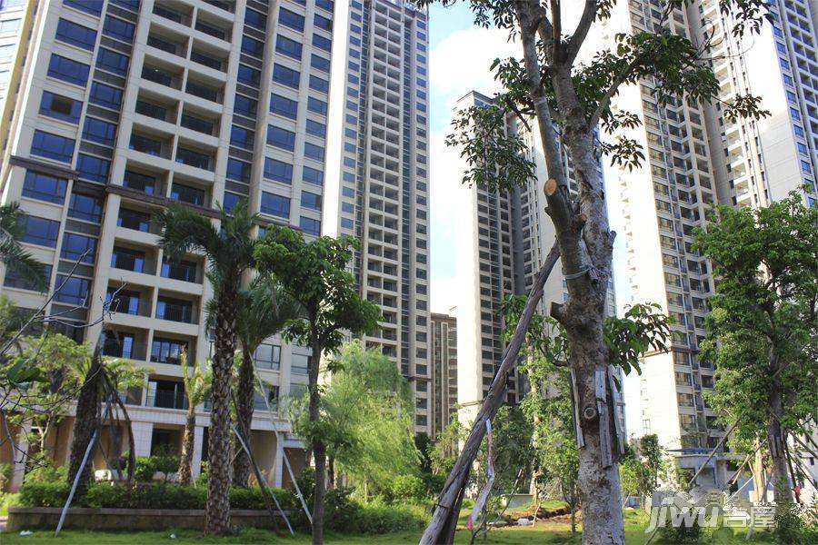金山雅筑花园实景图图片