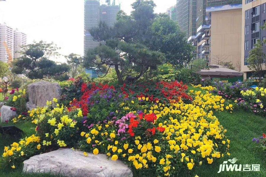 碧桂园珑誉花园实景图图片