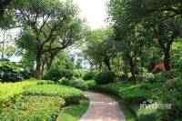 鼎峰公园豪庭实景图图片
