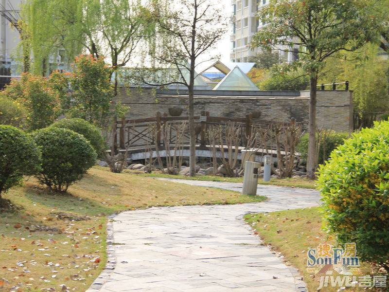 阿里山花园实景图图片