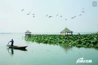 澄湖颐景园实景图图片