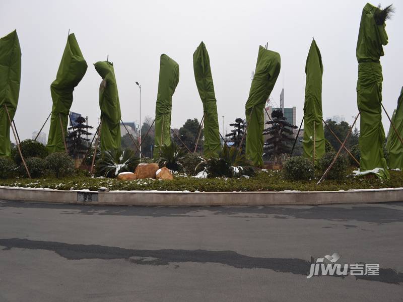 恒大绿洲实景图图片