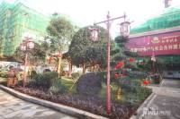 古城香桂园实景图图片