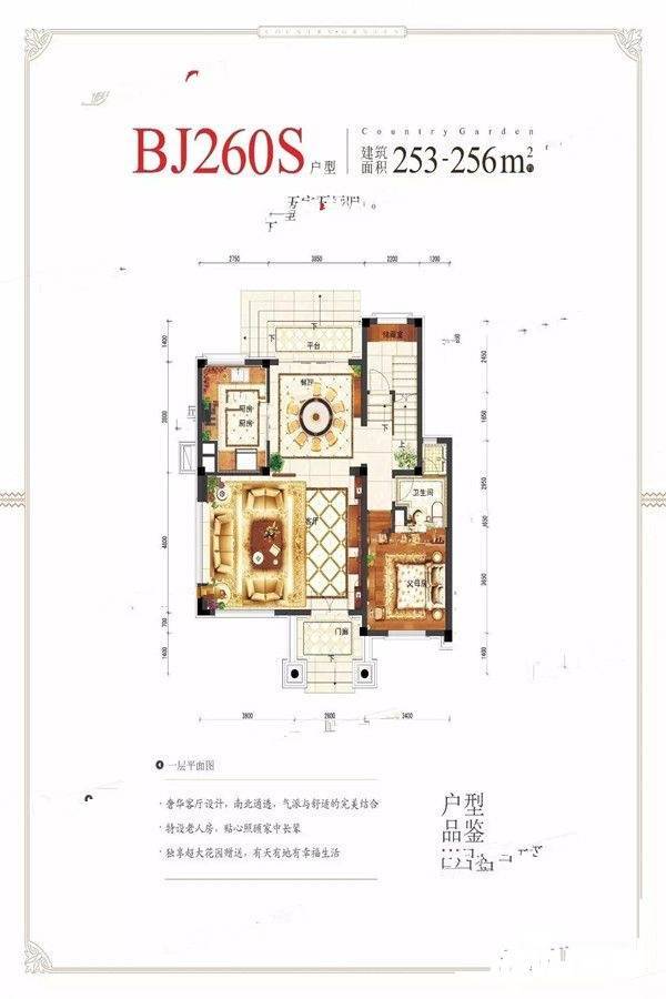 道州碧桂园5室2厅2卫236㎡户型图