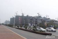 岳阳茶博城实景图图片
