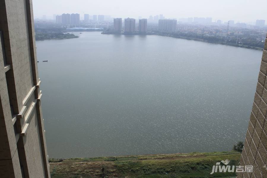 滨江观邸实景图图片