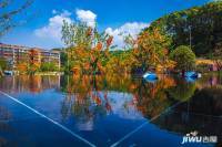 中建·湖山壹号实景图图片