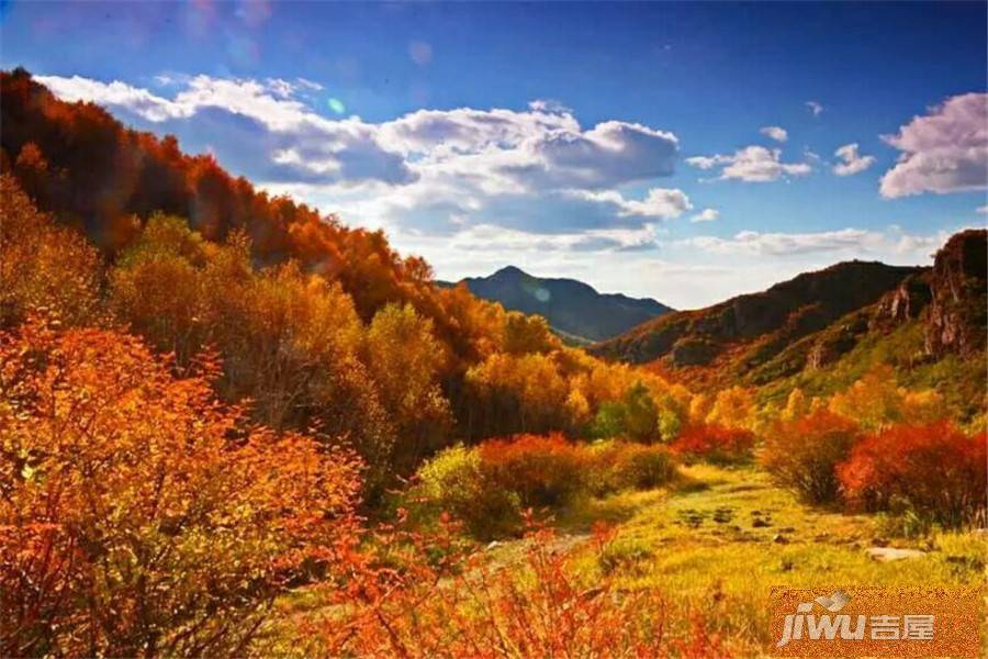 天成绿洲配套图图片